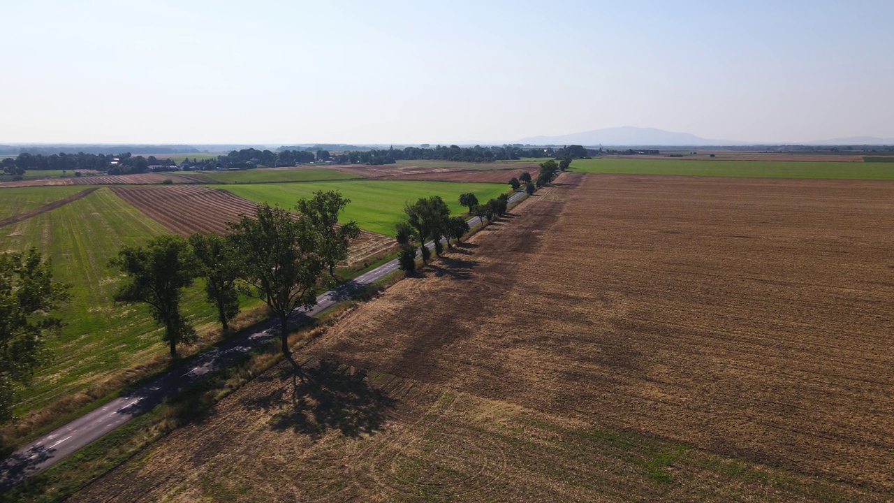 农田附近的乡村公路鸟瞰图视频素材