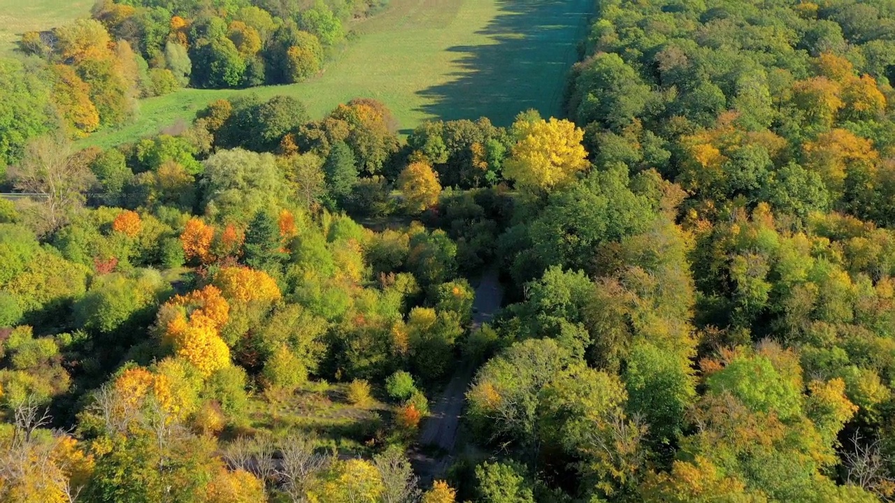 德国KÃ附近的秋天榆树林中维护良好的草坪鸟瞰图视频素材