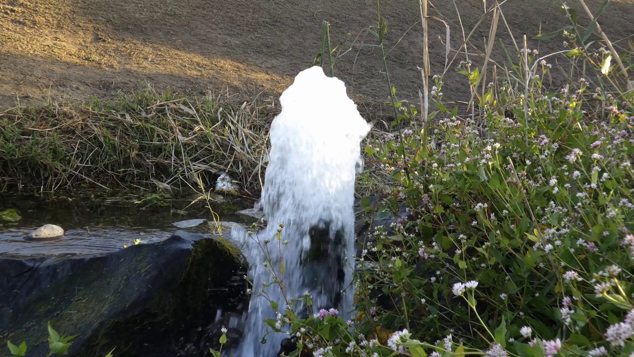 水在草和树生长的地方喷涌而出视频下载