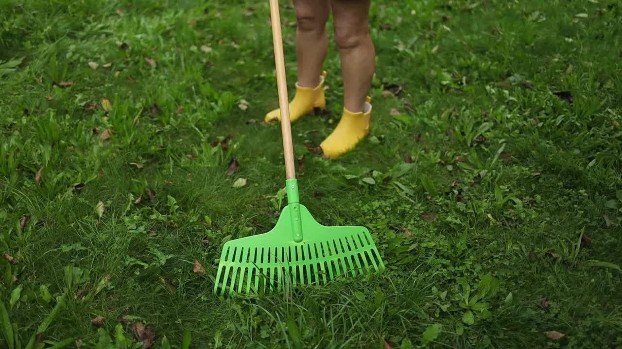 夏天，一名妇女在自家院子里收集秋叶。志愿服务、清洁、生态理念。季节性的园艺。视频素材