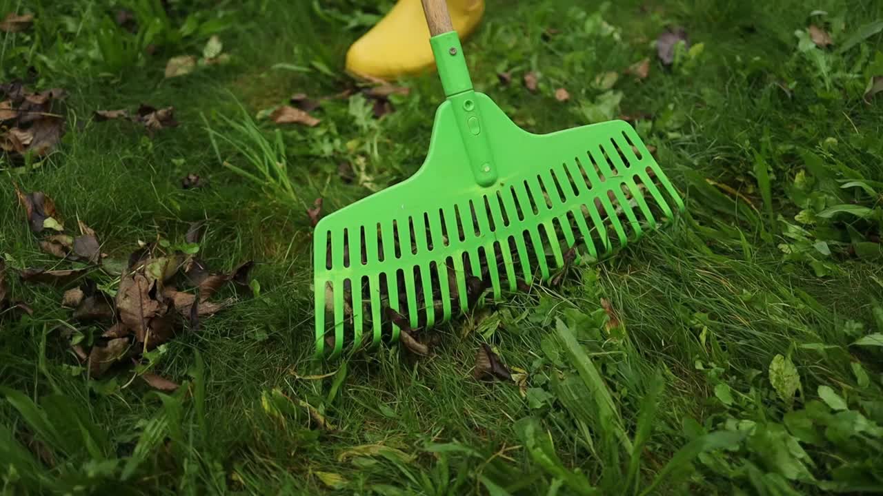 夏天，一名妇女在自家院子里收集秋叶。志愿服务、清洁、生态理念。季节性的园艺。视频素材