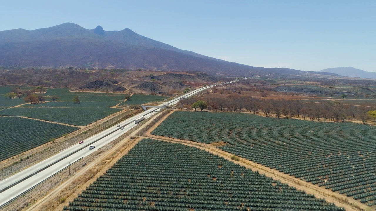 位于墨西哥哈利斯科州龙舌兰山脉之间的龙舌兰田视频素材