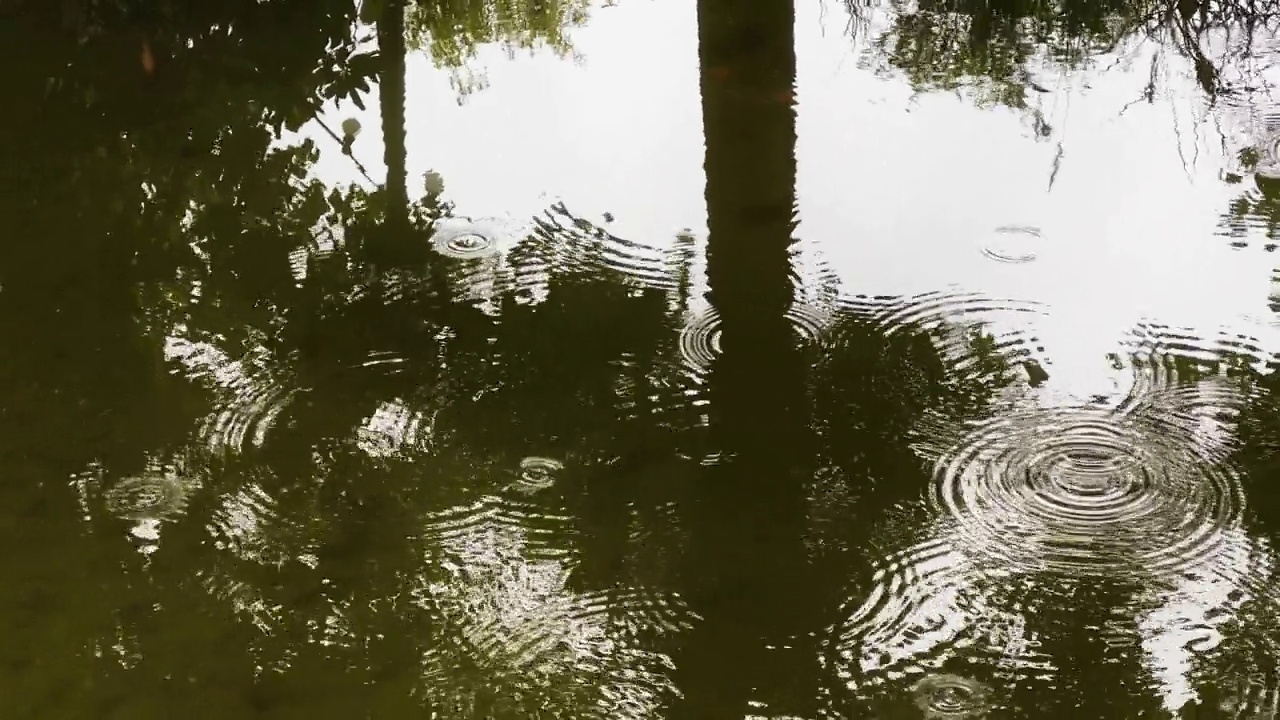 雨滴落在水面上视频素材