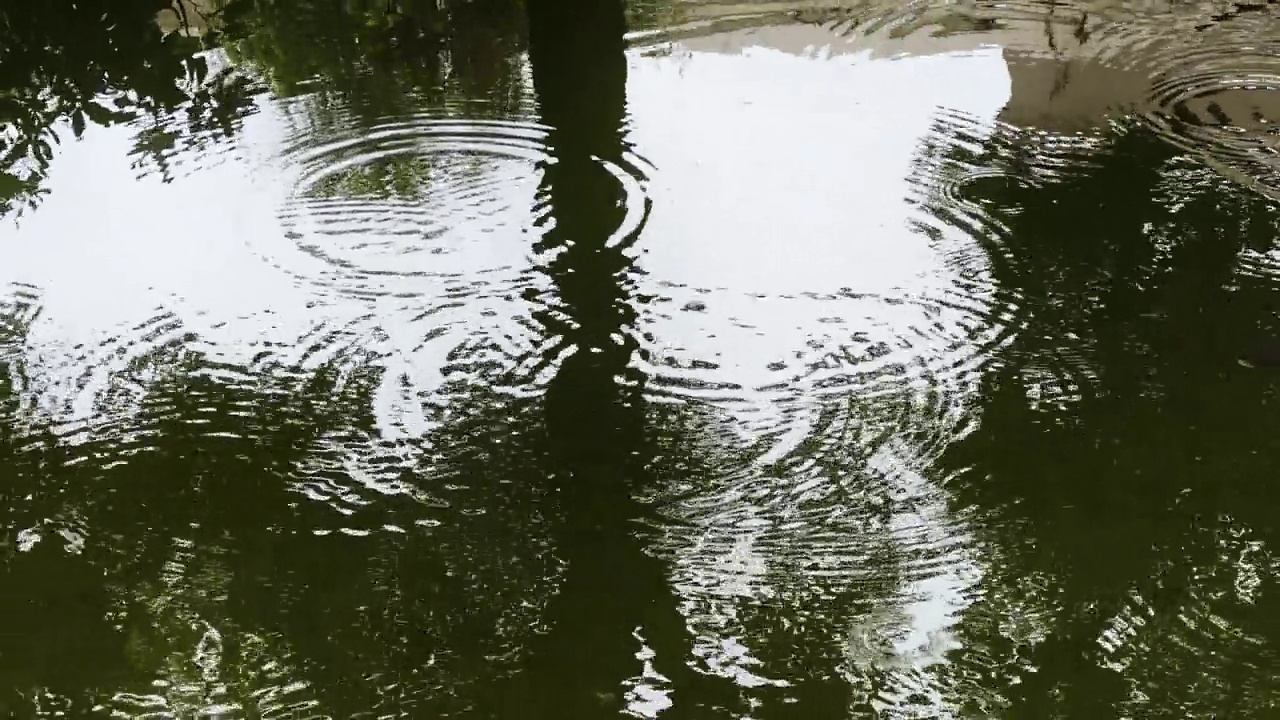 雨滴落在水面上视频素材