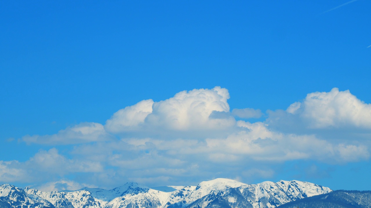 圣诞树长在山上。雪山的美景。间隔拍摄。视频素材