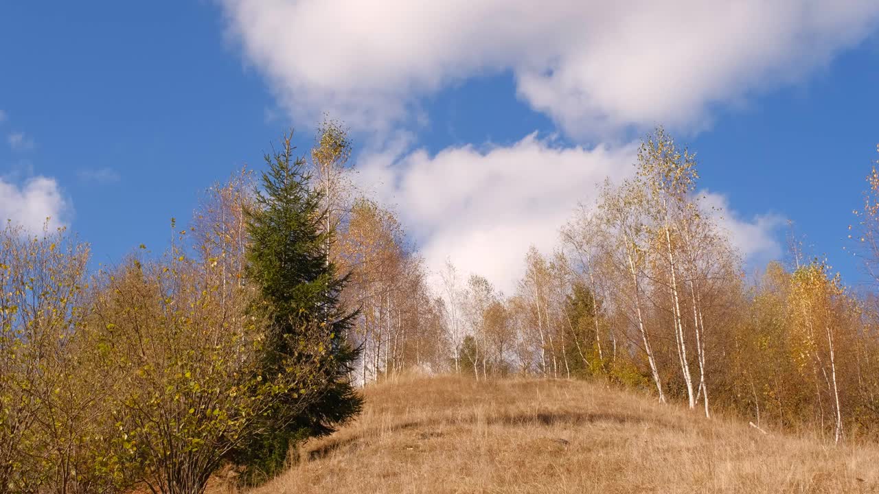 罗马尼亚山上美丽的秋山视频素材