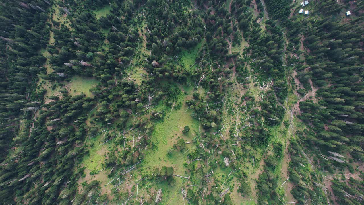 森林边的小屋视频素材