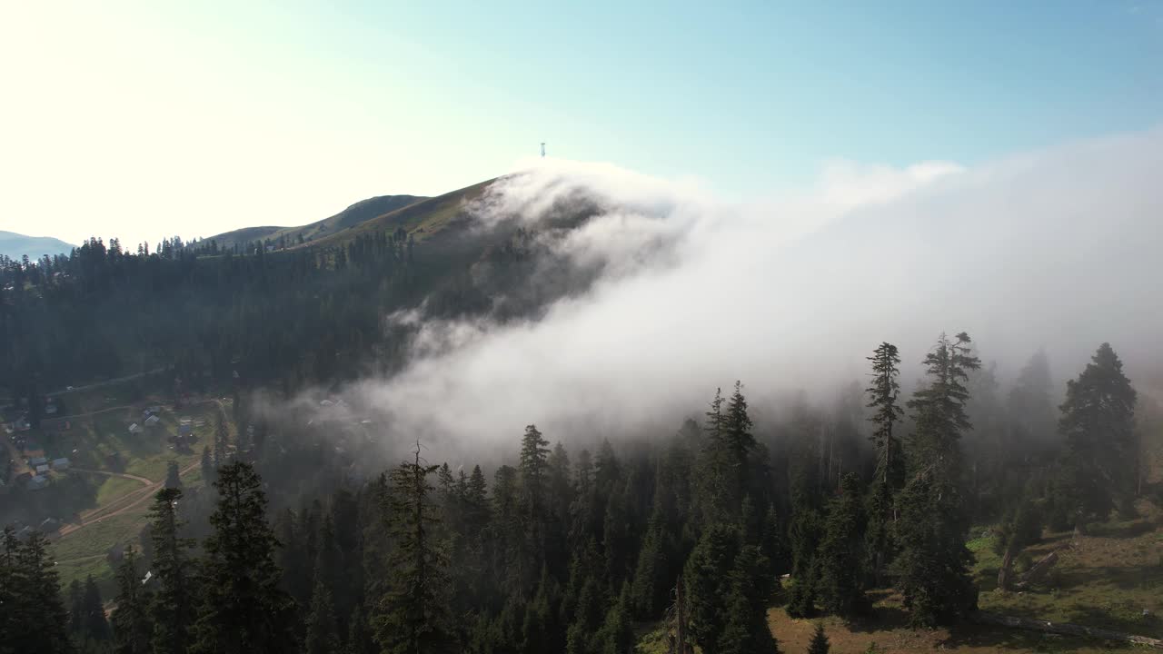 雾山在夏天的山林里视频素材