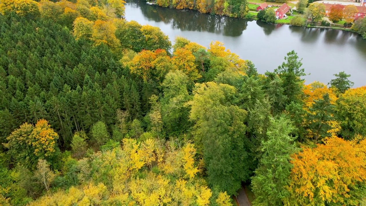 鸟瞰秋叶颜色的森林视频素材