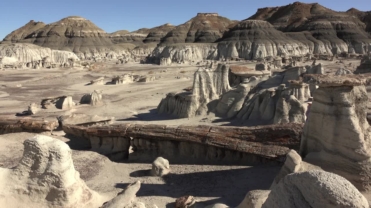 妇女探索石化木材原木hoodoo Bisti De-Na-Zin荒野新墨西哥州沙漠视频下载