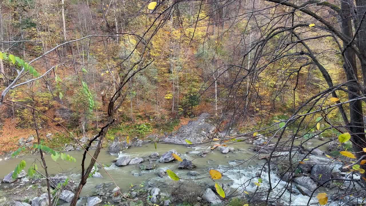 山河在秋天的森林里。美丽的风景在山上。视频素材