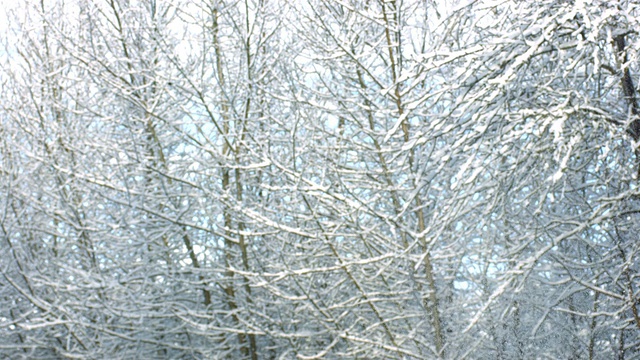 圣诞老人把雪扔向天空，慢镜头视频素材