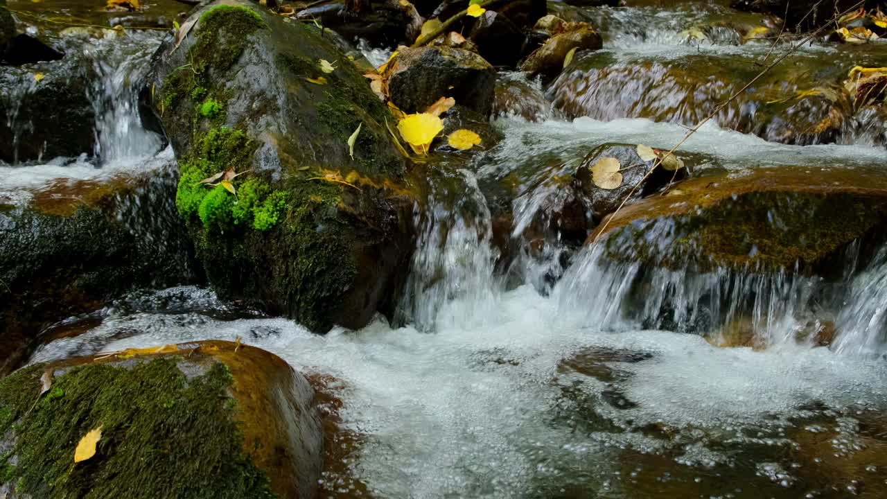 山，秋，河，大，石，叶视频素材