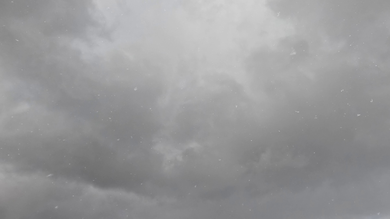 雪正在飘落，天空多云视频素材