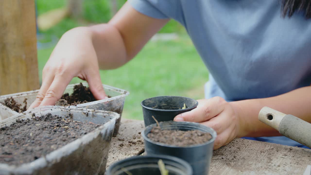 将泥土和种子放入回收花盆中。视频素材