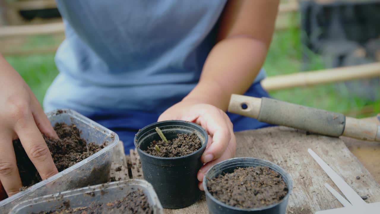 将泥土和种子放入回收花盆中。视频素材