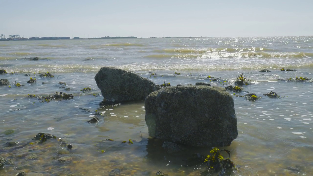 潮水涌向英国哈威奇海岸。海浪冲击着海岸线。海草生长在靠近海岸的岩石上。视频素材