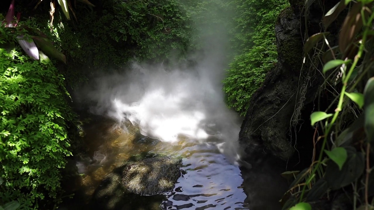 烟奇妙的淡水，森林，河流，湖泊，旅游自然和生活理念。视频素材