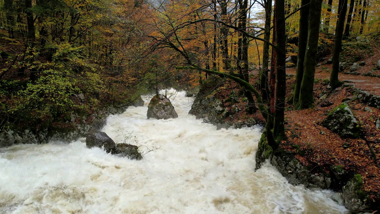 高山Rush空中秋季河流下降视频素材