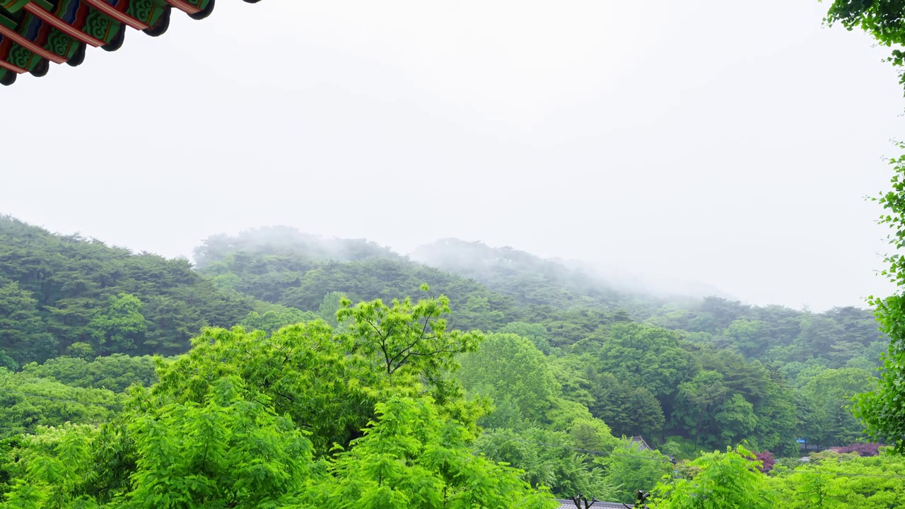 从韩屋屋檐下看到的雨景。乌云笼罩着群山。毛毛雨的天气。在风中摇曳的树木上，白云飘过。视频下载