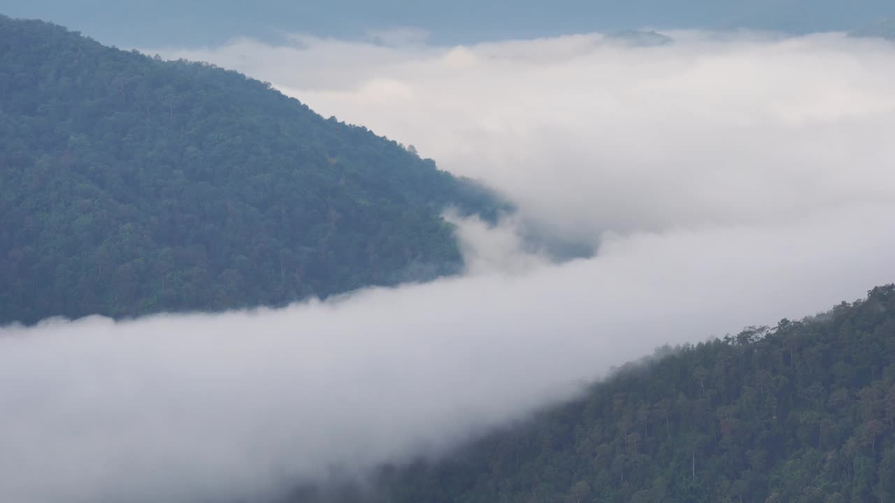 晨雾穿过峡谷。泰国清迈的Huay Kub Kub视频下载