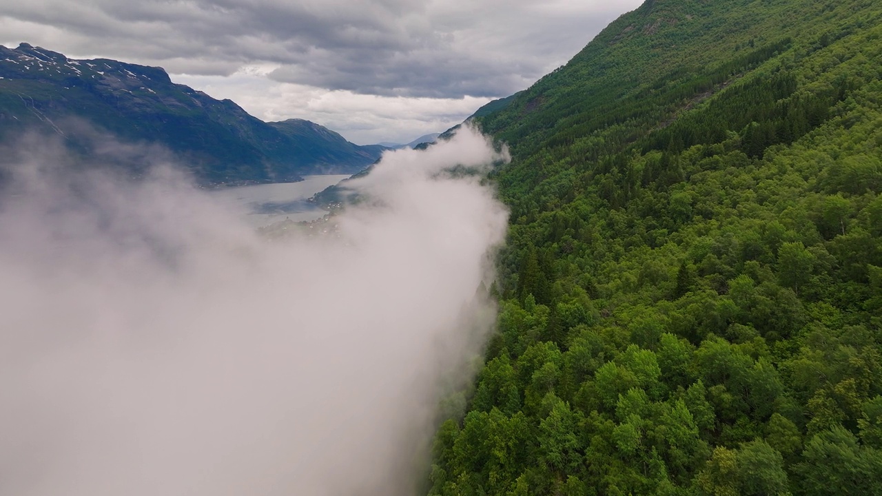 一层山雾笼罩在风景如画的Hardanger峡湾的山腰森林上视频素材