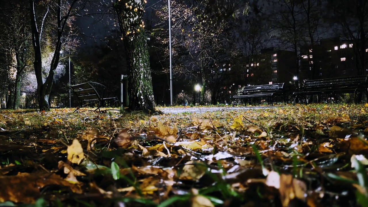 雨后观园景暮落叶视频素材