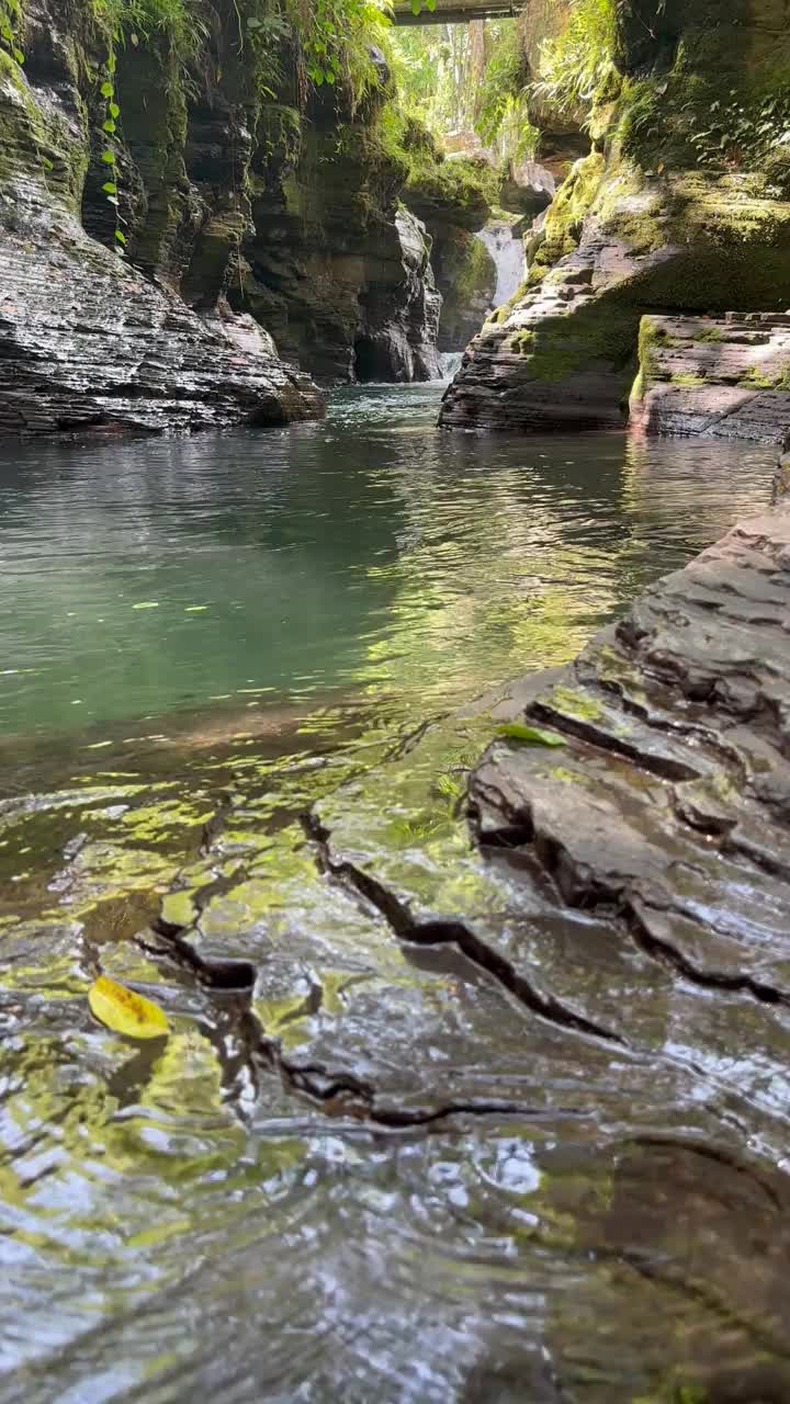清澈碧绿的泉水和瀑布视频下载