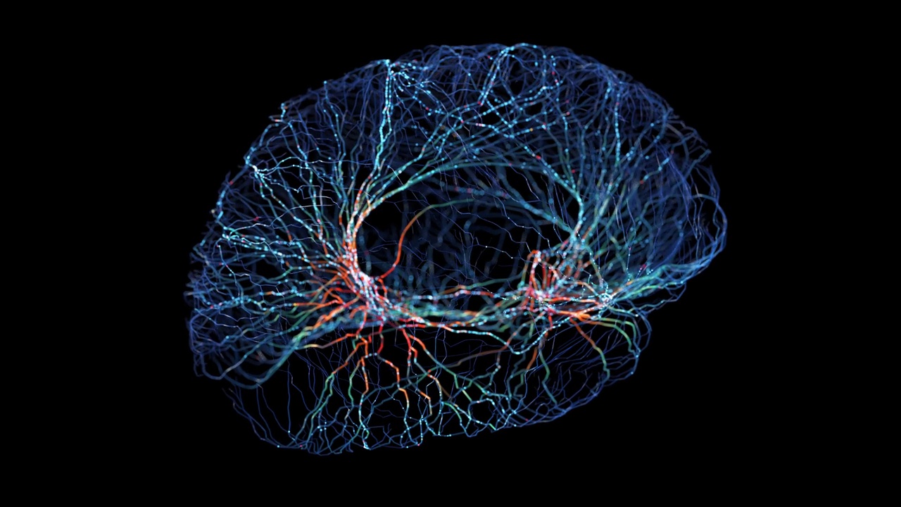 数字神经元连接视频下载