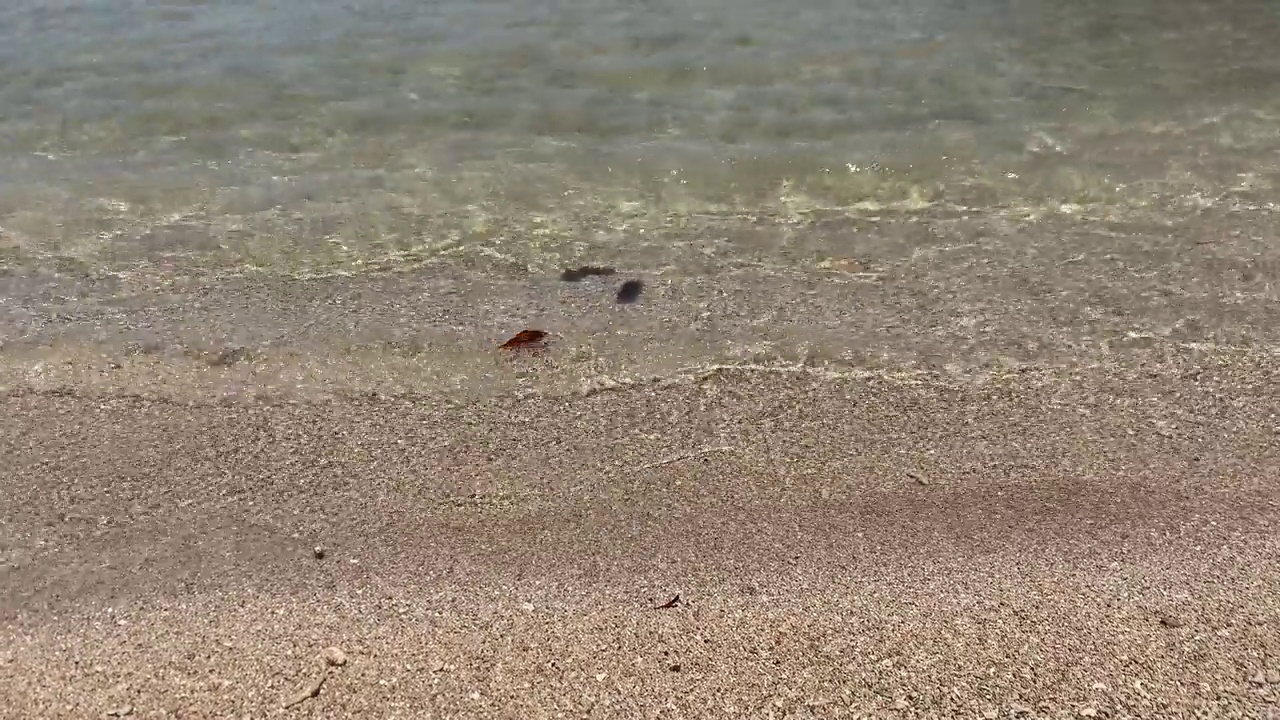 小海浪。海滩上的海浪。没有人。节日的概念。海洋自然背景。复制空间，文本空间。视频下载