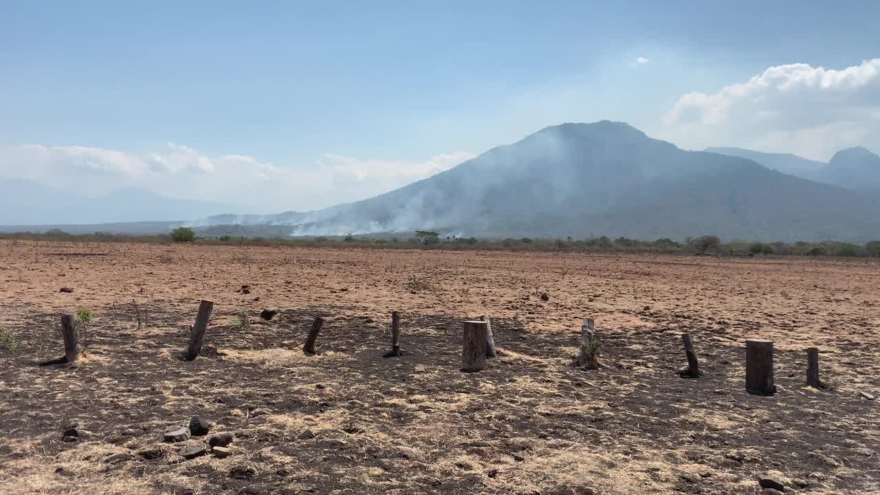 巴鲁兰国家公园的自然风光，以美丽的Bekol稀树草原和巴鲁兰山为背景，从视线水平观看。印尼东爪哇的斯图邦多Baluran国家公园，4k分辨率。视频下载