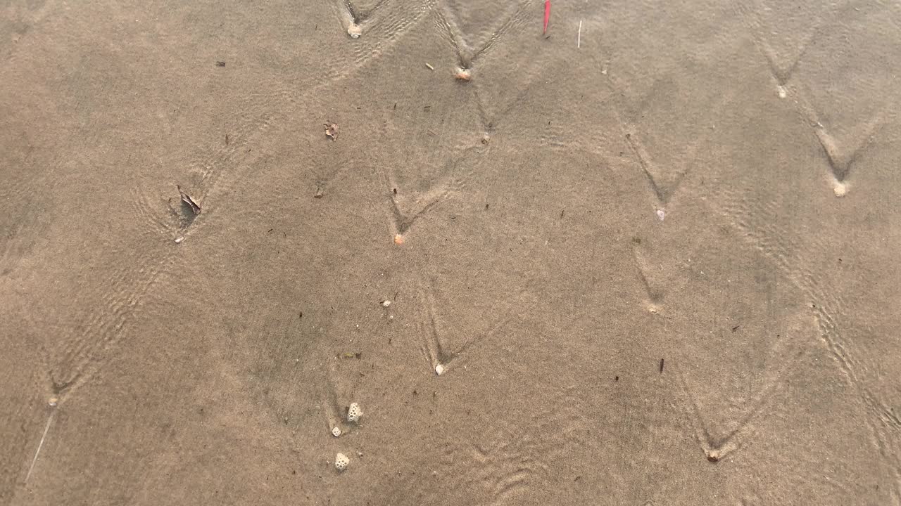 夏季沙滩上的海景和海水。自然与旅游理念。4 k决议。视频下载