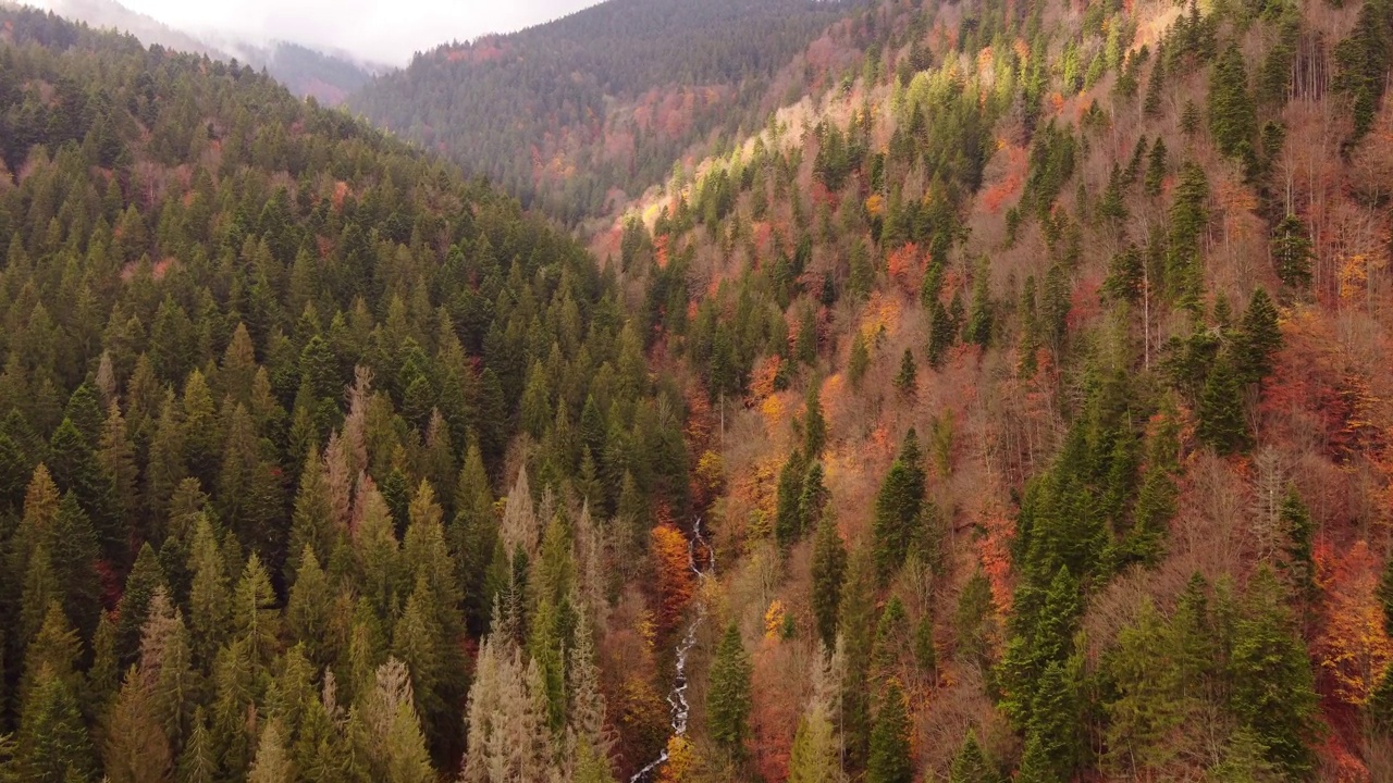 秋天的风景有五颜六色的森林。秋天山林的全景。视频素材