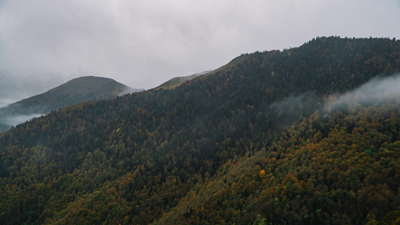 手持剪辑在比利牛斯山脉的山区森林视频素材