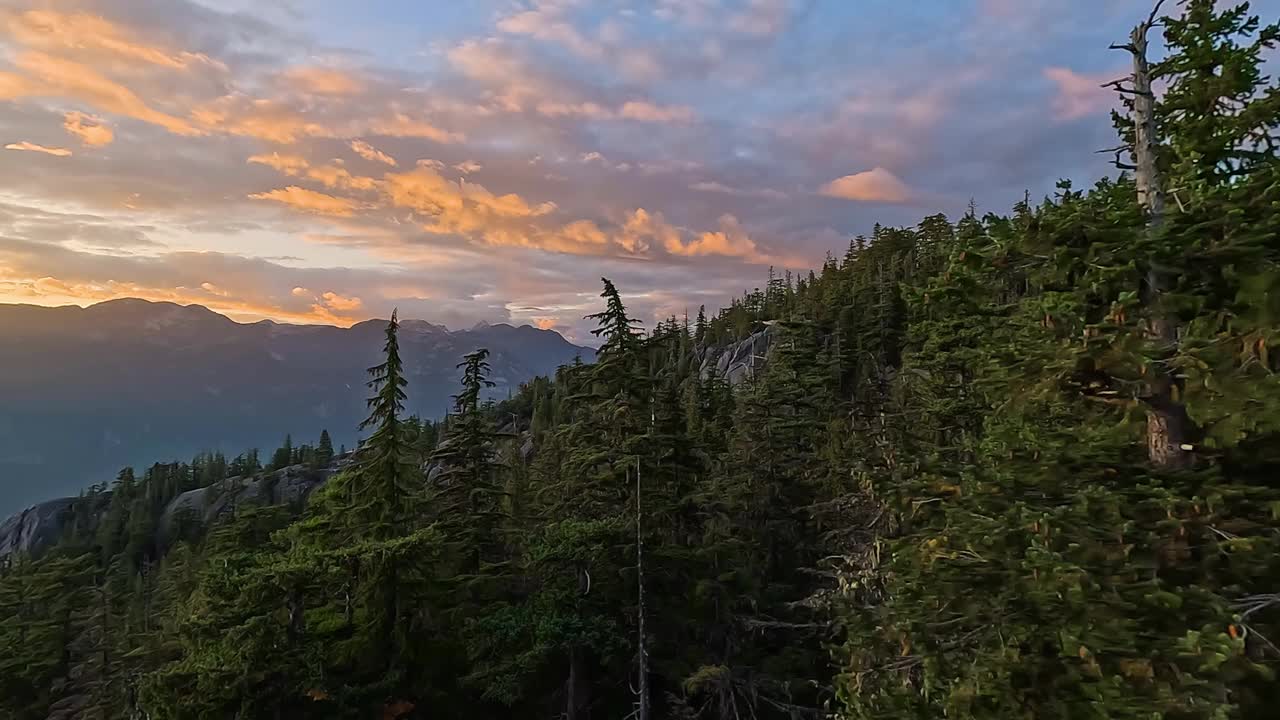 加拿大山地景观和充满活力的绿树。秋天的季节。视频素材