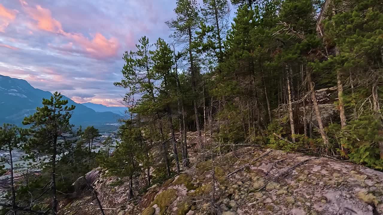 加拿大山地景观和充满活力的绿树。秋天的季节。视频素材