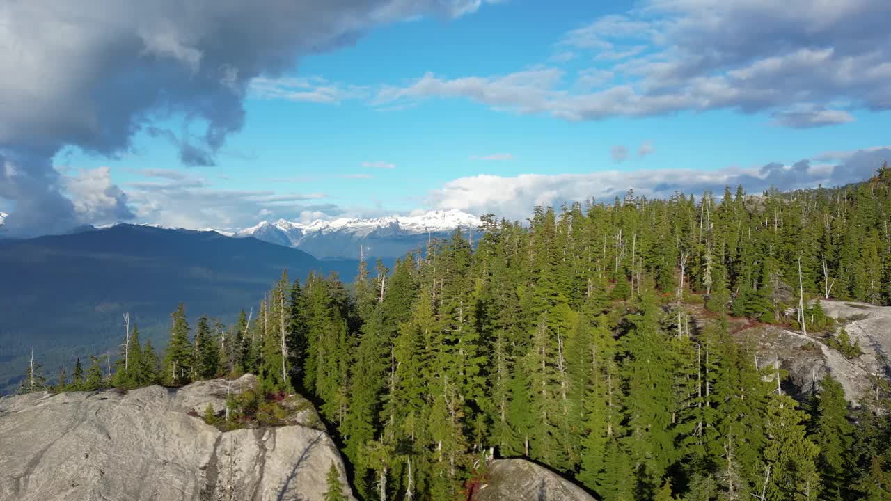 加拿大山地景观和充满活力的绿树。秋天的季节。视频素材