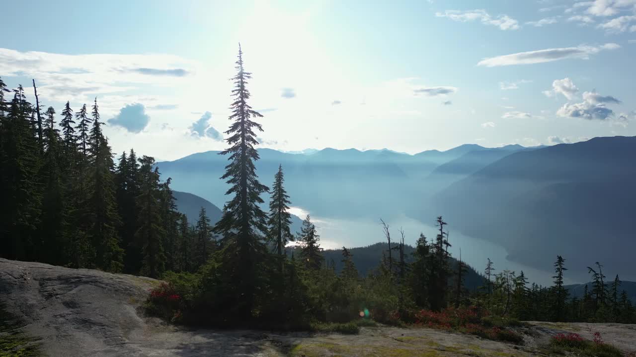 加拿大山地景观和充满活力的绿树。秋天的季节。视频素材