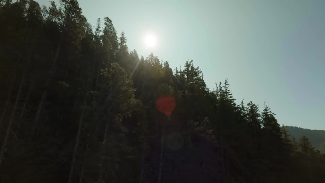 加拿大山地景观和充满活力的绿树。秋天的季节。视频素材