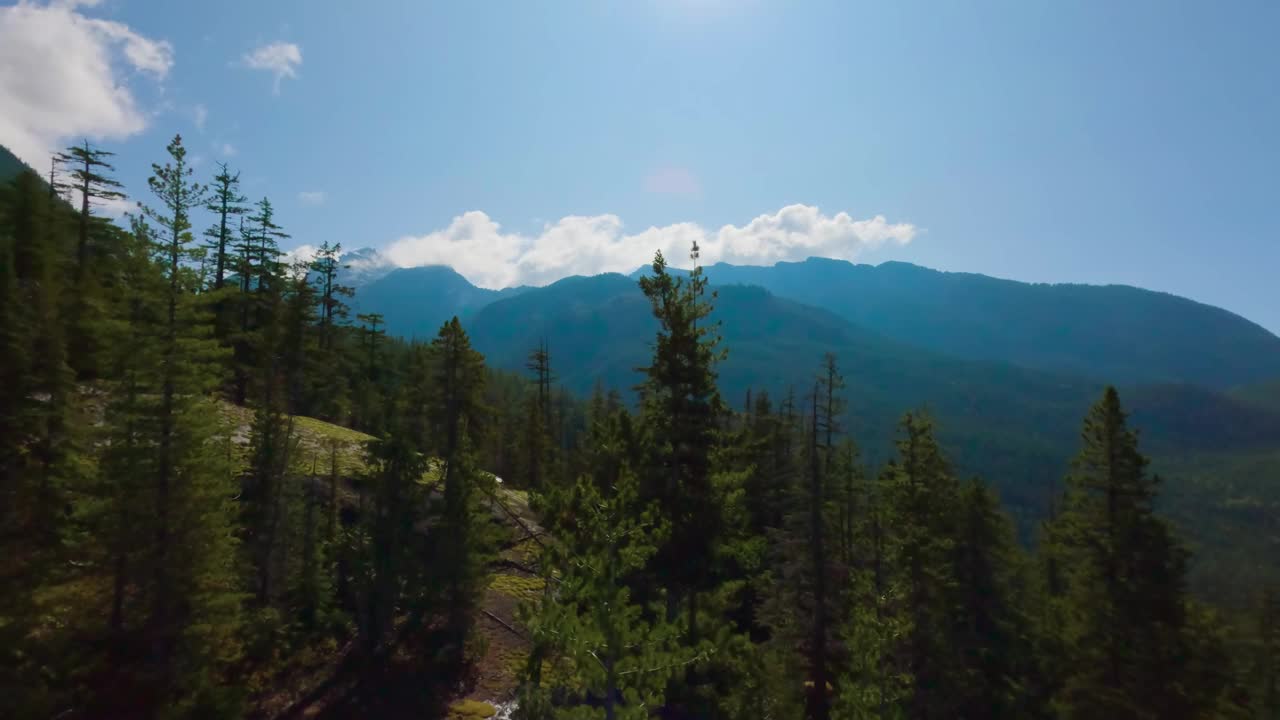 加拿大山地景观和充满活力的绿树。秋天的季节。视频素材