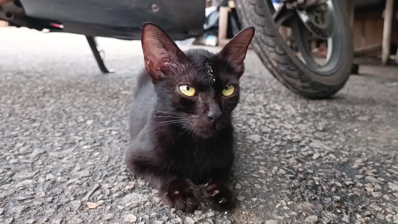 一条贫穷的街道，柏油路的地板上被遗弃了黑色的油漆视频素材