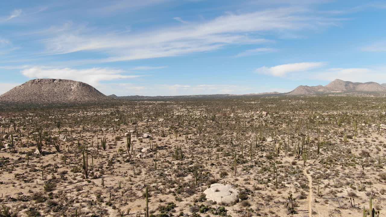 空中俯瞰下加利福尼亚的沙漠小道，美丽的风景中有仙人掌视频下载