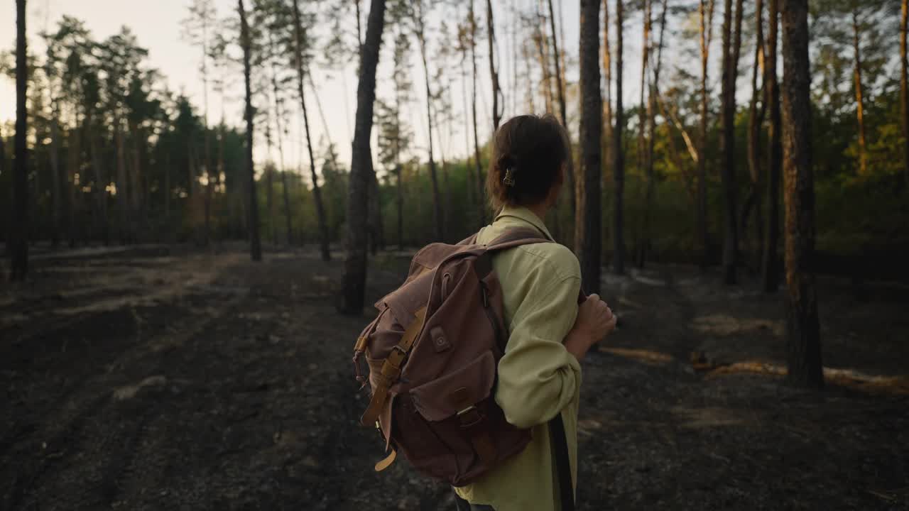 森林大火后，背着背包的悲伤女徒步旅行者在树林里。烧焦的土地，草地和树木，森林大火的后果。紧急情况和自然灾害。视频素材