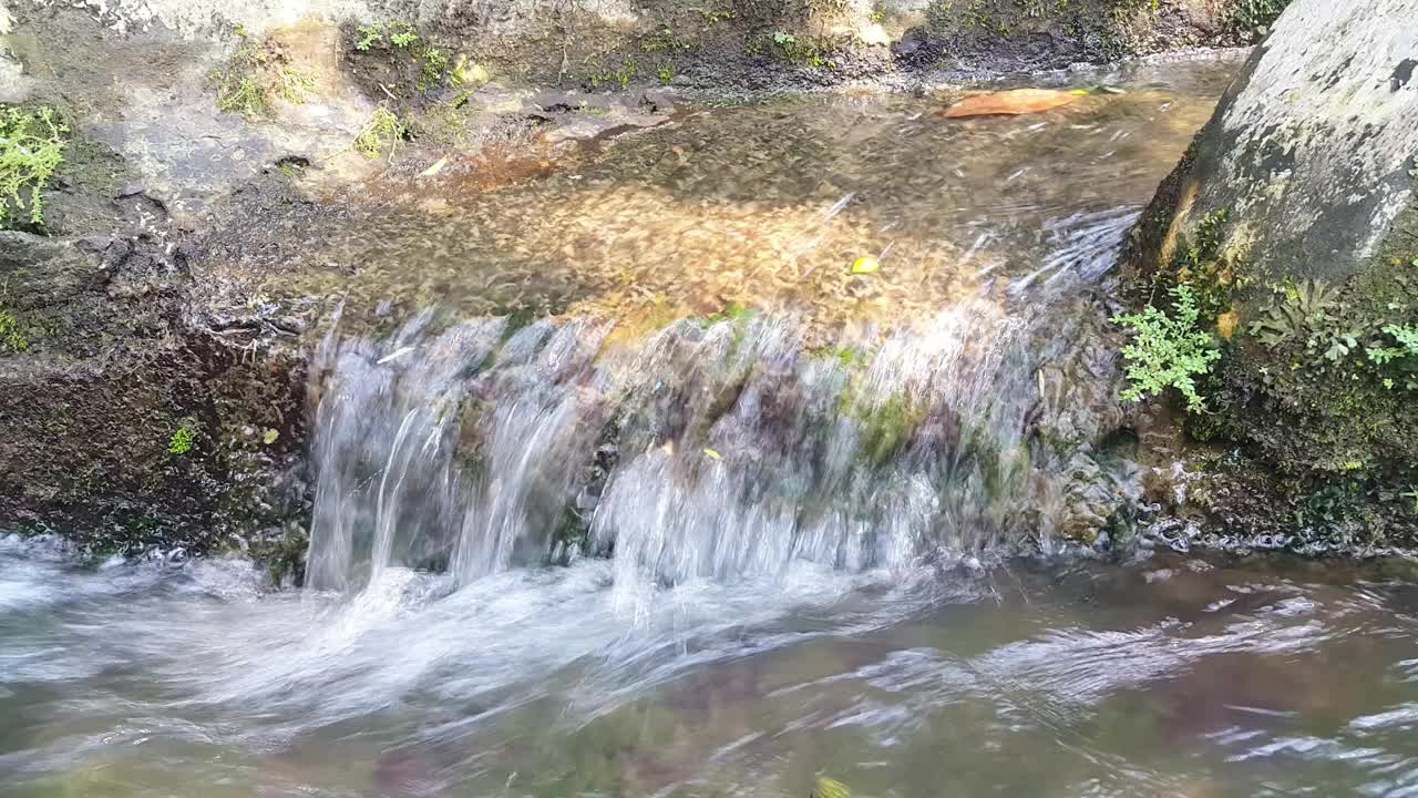 在干净的排水沟里流动的淡水视频下载