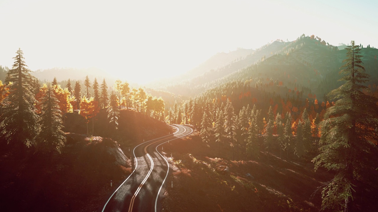 日落时分，一条宁静而风景优美的道路蜿蜒穿过风景如画的森林视频素材