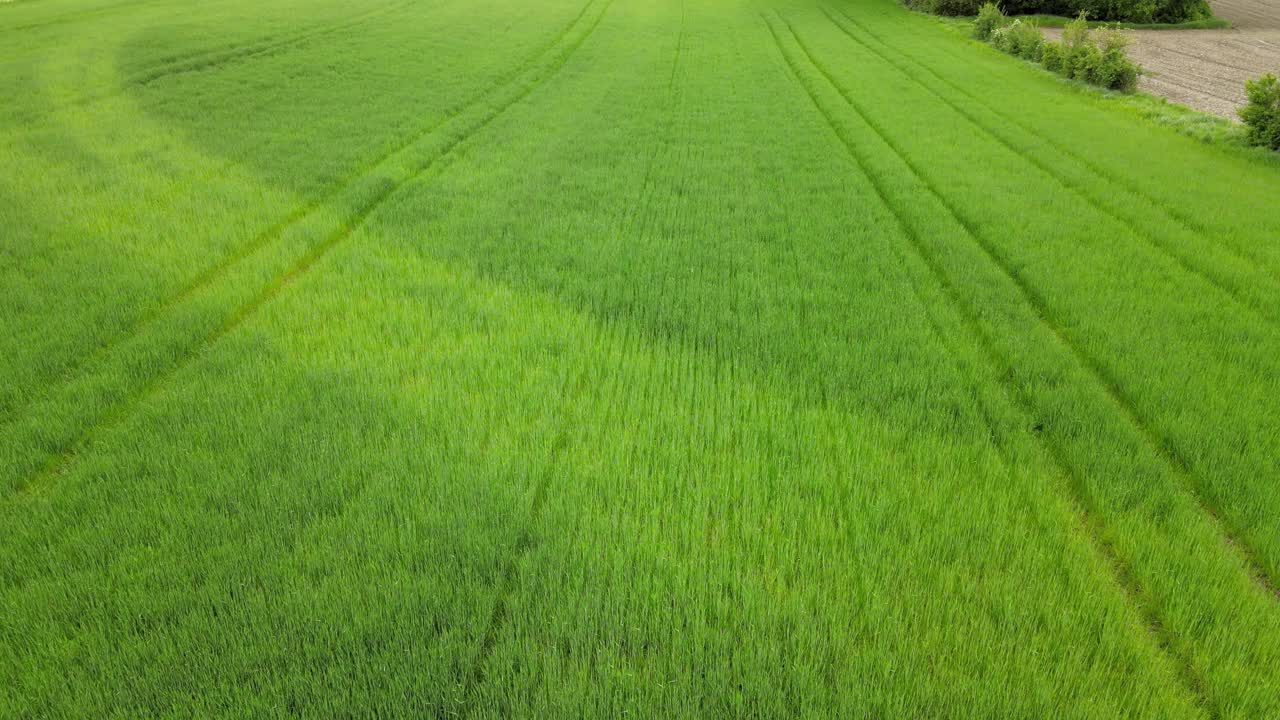 奥地利下奥地利的麦田鸟瞰图视频素材