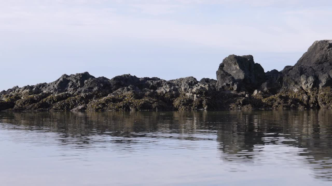 太平洋沿岸的岩石海岸。温哥华岛的Ucluelet视频素材