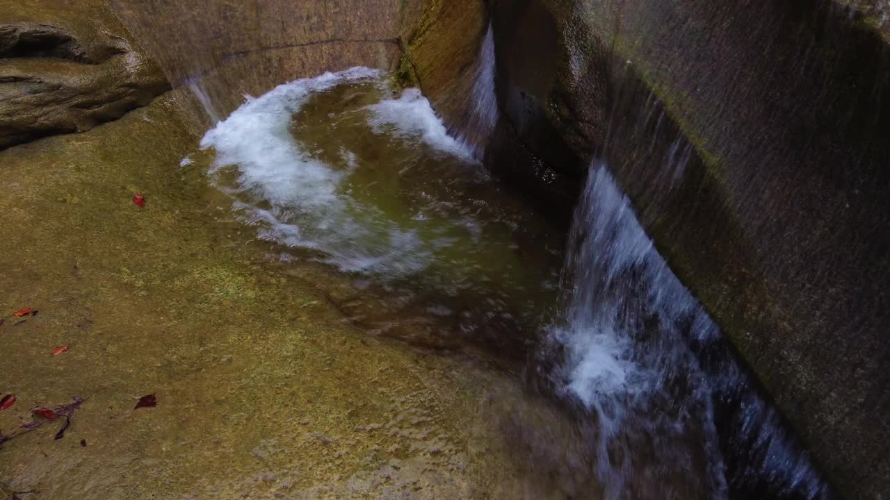 水在森林里流过岩石视频下载