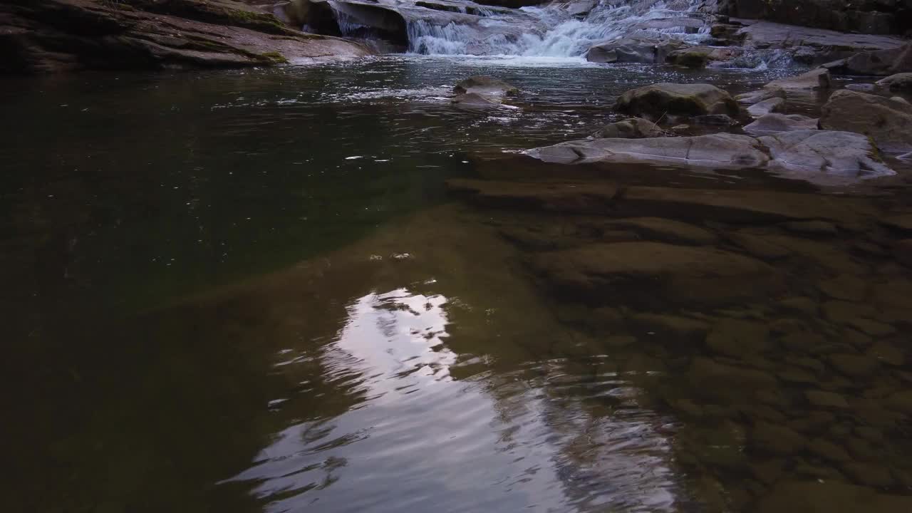 森林中河流水面的低空鸟瞰图视频素材