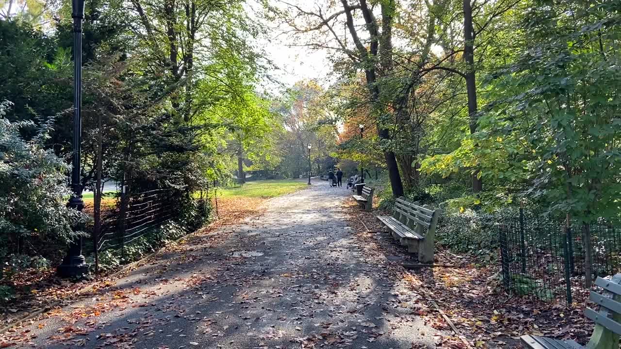 阳光明媚的秋天，在华盛顿高地的特赖恩堡公园，走在一条两旁有长凳的绿树成荫的小路上视频下载